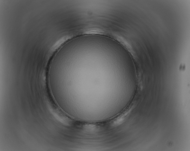 X0000092320298200709281411