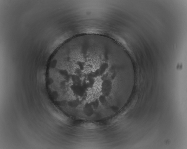 X0000092320299200709281411