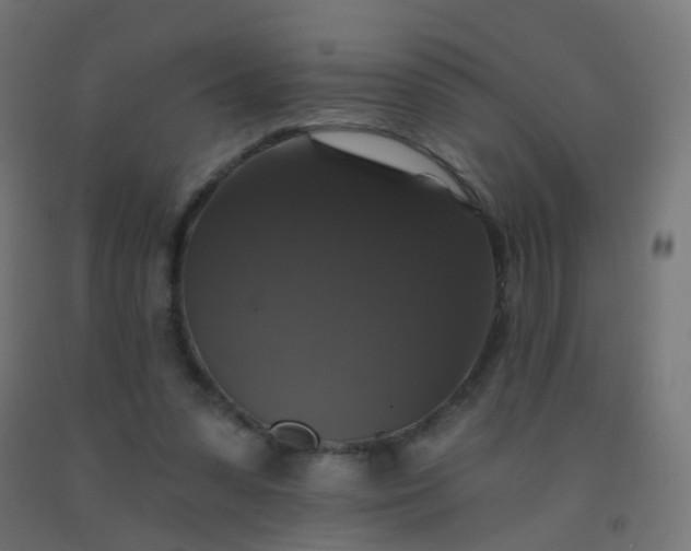 X0000092320303200709281411