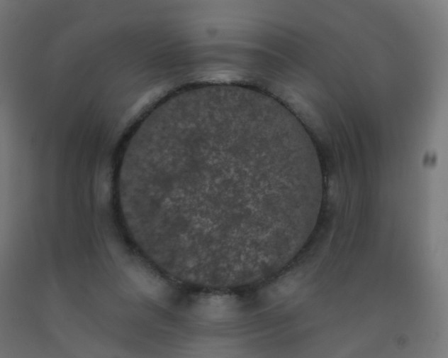 X0000092320304200709281411