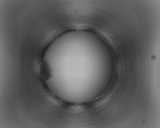 X0000092320307200709281411