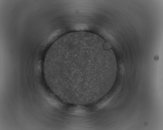 X0000092320308200709281411