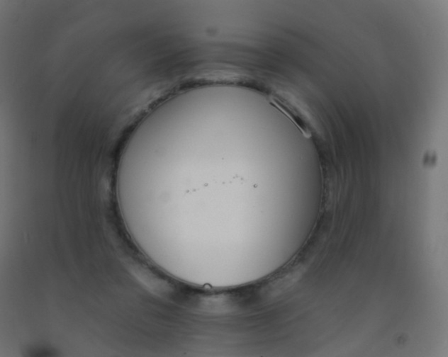 X0000092320309200709281411