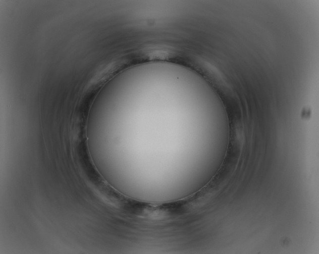 X0000092320311200709281411