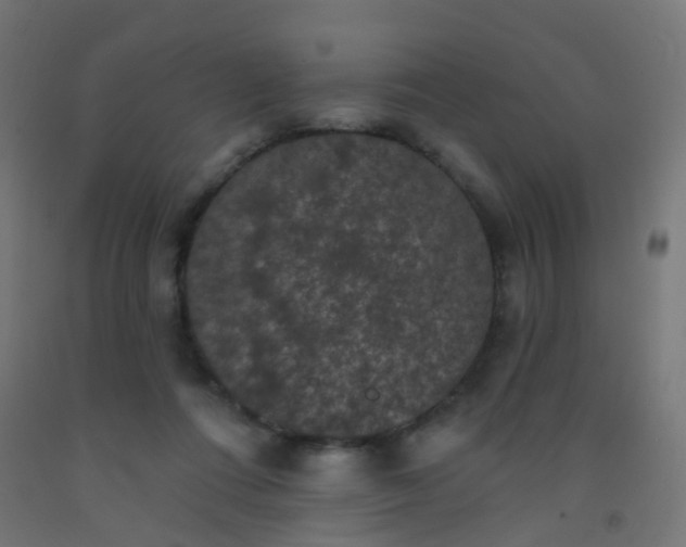 X0000092320312200709281411