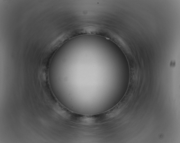 X0000092320313200709281411