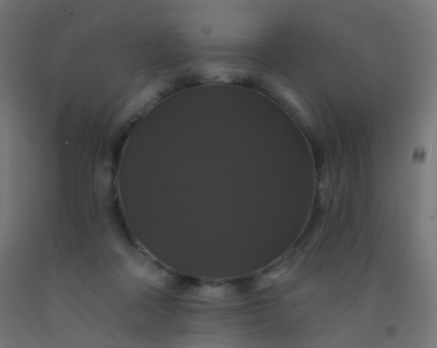 X0000092320314200709281411