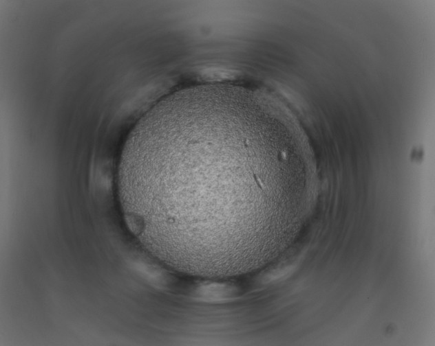 X0000092320315200709281411