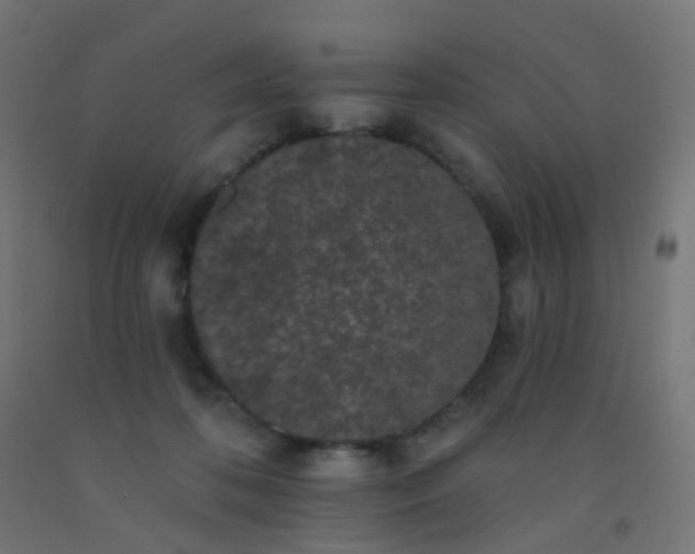 X0000092320316200709281411