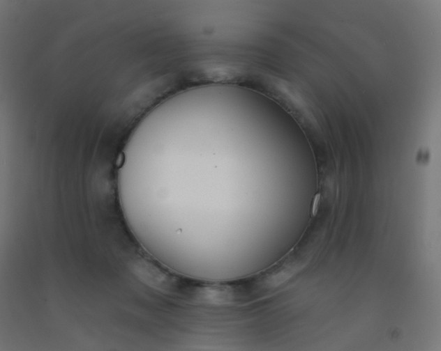 X0000092320317200709281411