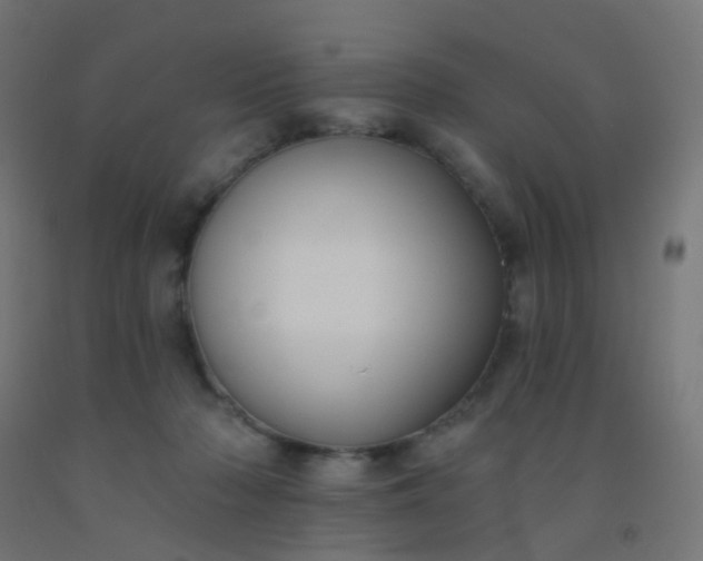 X0000092320318200709281411