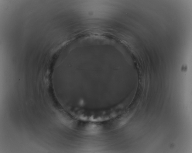 X0000092320319200709281411