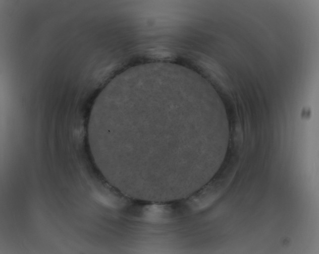 X0000092320320200709281411