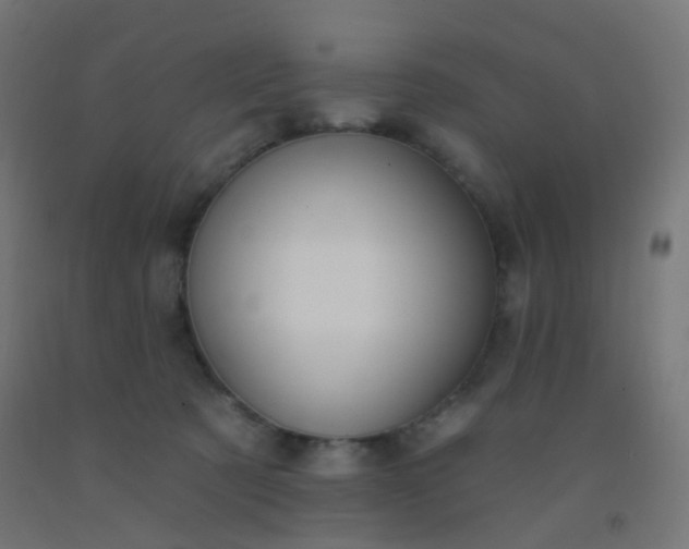 X0000092320321200709281411