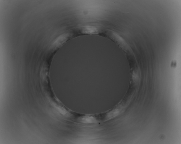 X0000092320322200709281411