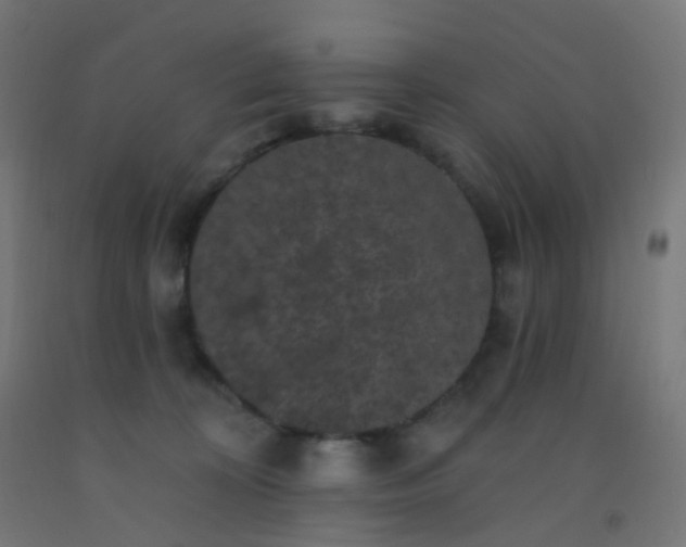 X0000092320324200709281411