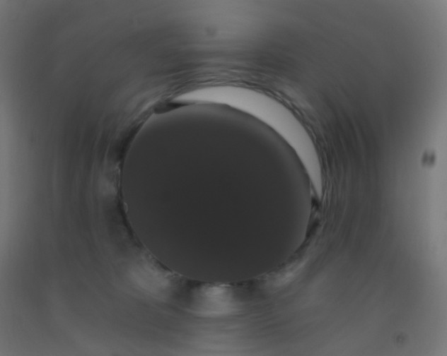 X0000092320325200709281411