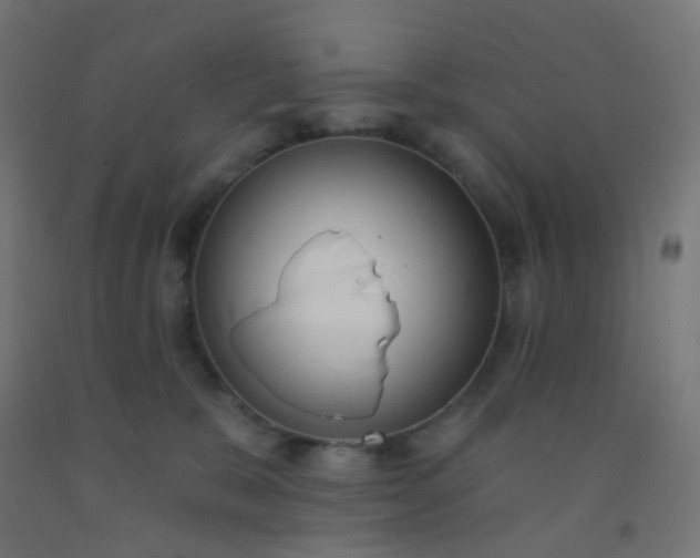 X0000092320327200709281411