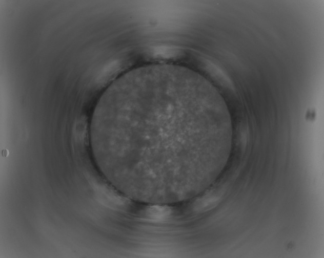 X0000092320328200709281411