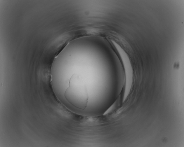 X0000092320329200709281411