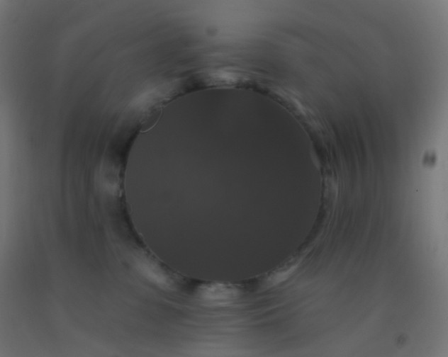 X0000092320331200709281411
