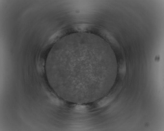 X0000092320332200709281411