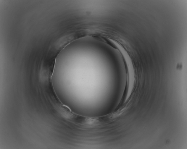 X0000092320333200709281411