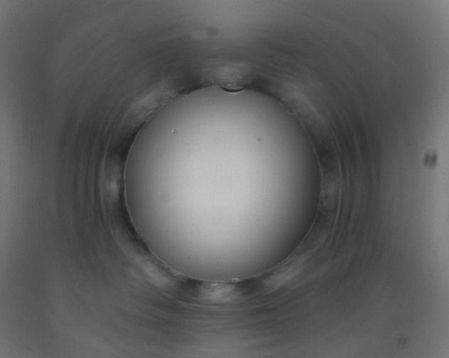 X0000092320334200709281411
