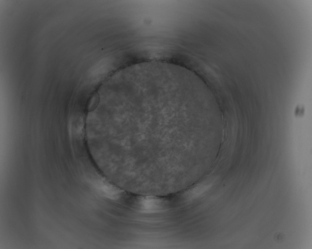 X0000092320336200709281411