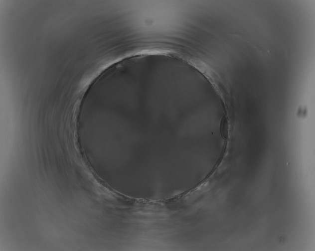 X0000092320337200709281410