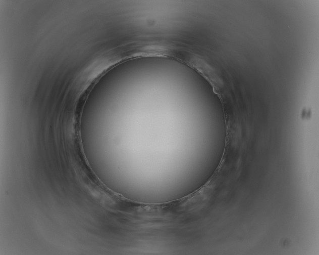 X0000092320338200709281410