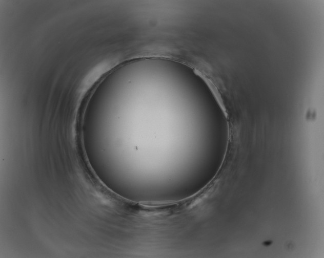 X0000092320340200709281410