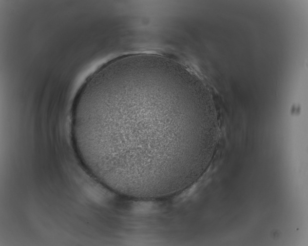 X0000092320342200709281410