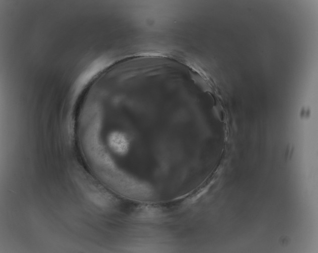 X0000092320343200709281410