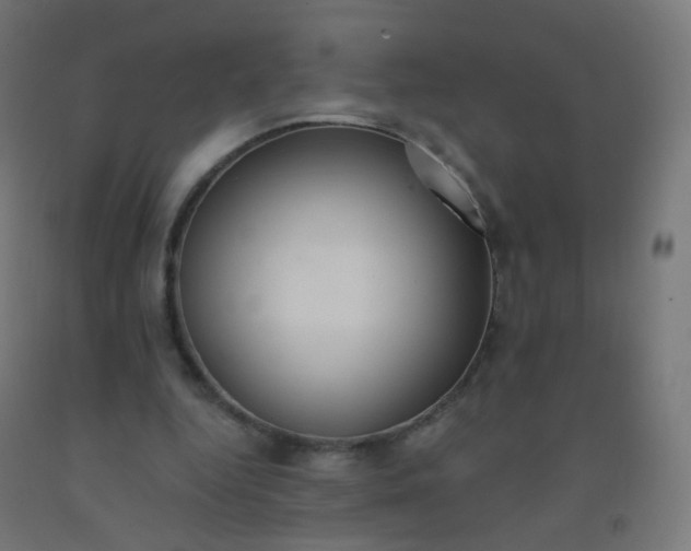 X0000092320344200709281410