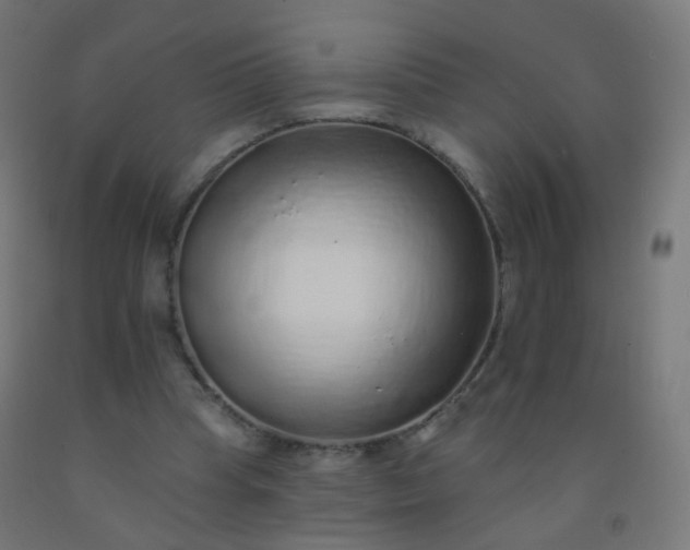 X0000092320345200709281410