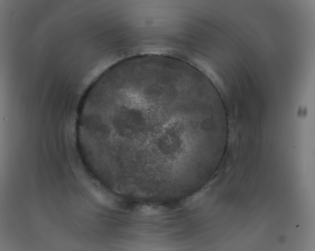 X0000092320346200709281411