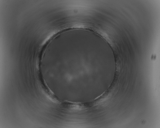 X0000092320347200709281411