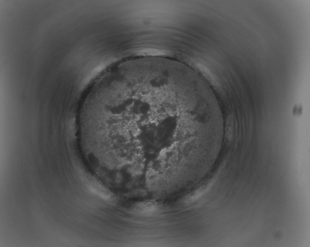 X0000092320351200709281411