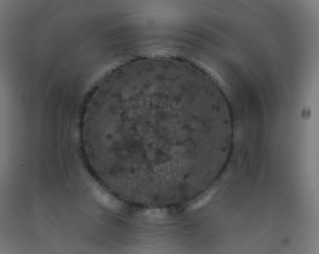 X0000092320353200709281411