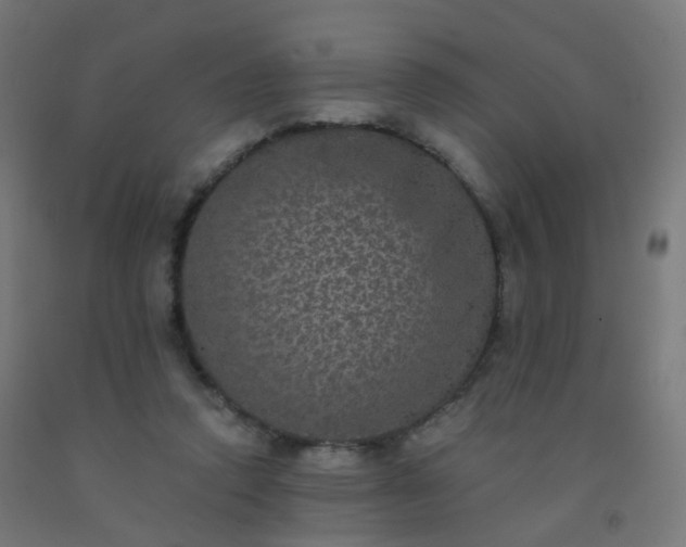 X0000092320354200709281411