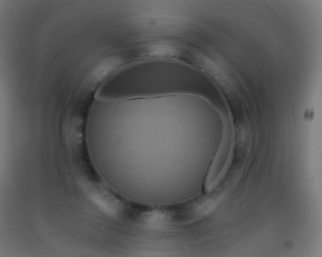 X0000092320356200709281411