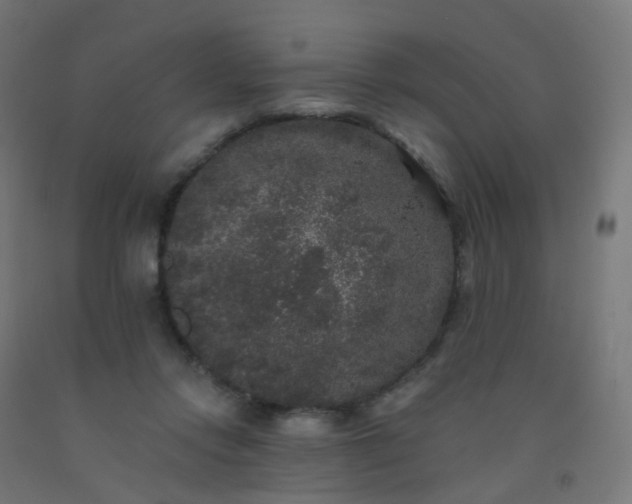 X0000092320358200709281411