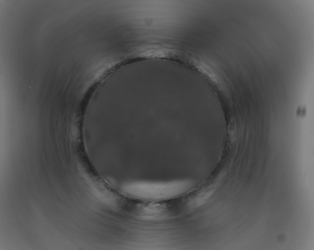 X0000092320359200709281411