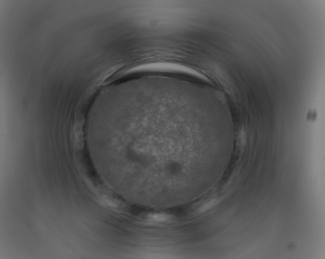X0000092320360200709281411