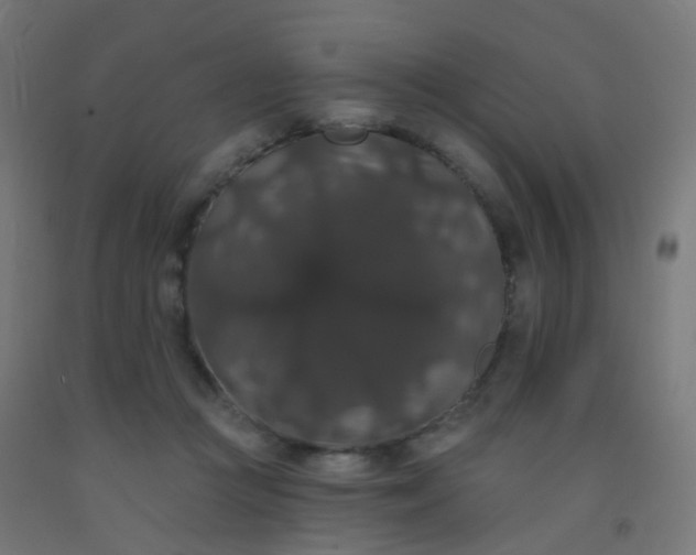 X0000092320361200709281411