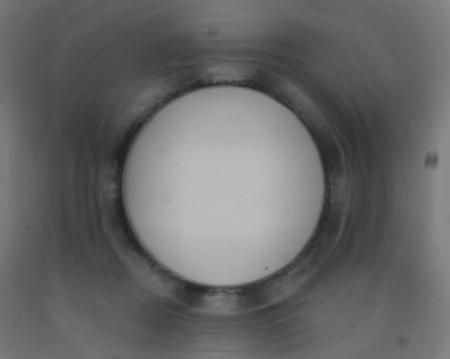 X0000092320362200709281411