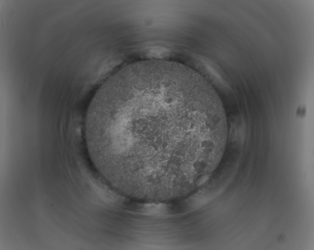 X0000092320363200709281411