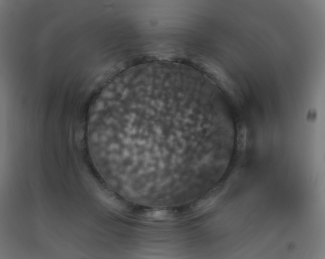 X0000092320365200709281411