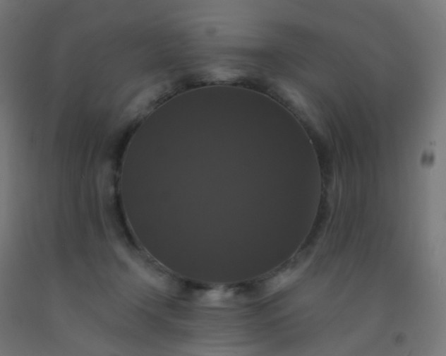 X0000092320366200709281411